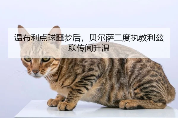 wen-bu-li-dian-qiu-e-meng-hou-bei-er-sa-er-du-zhi-jiao-li-zi-lian-chuan-wen-sheng-wen-2-594.jpg